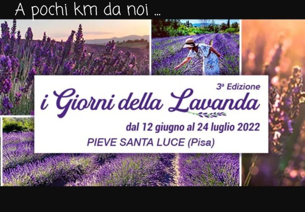 Appartamento Bellavista 卡斯泰里那马里提玛 外观 照片